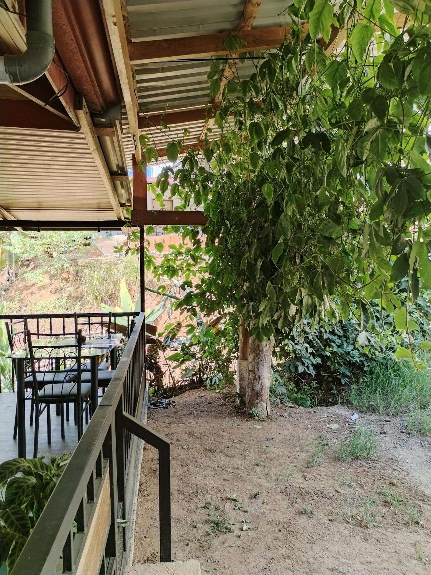 Bed and Breakfast Osa House - Drake Corcovado Tours Drakes Bay Exterior foto